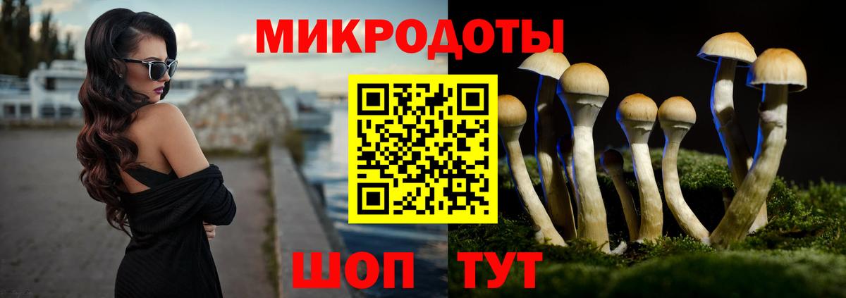 Лесосибирск  Галлюциногенные грибы мухоморы  Вход с VPN 